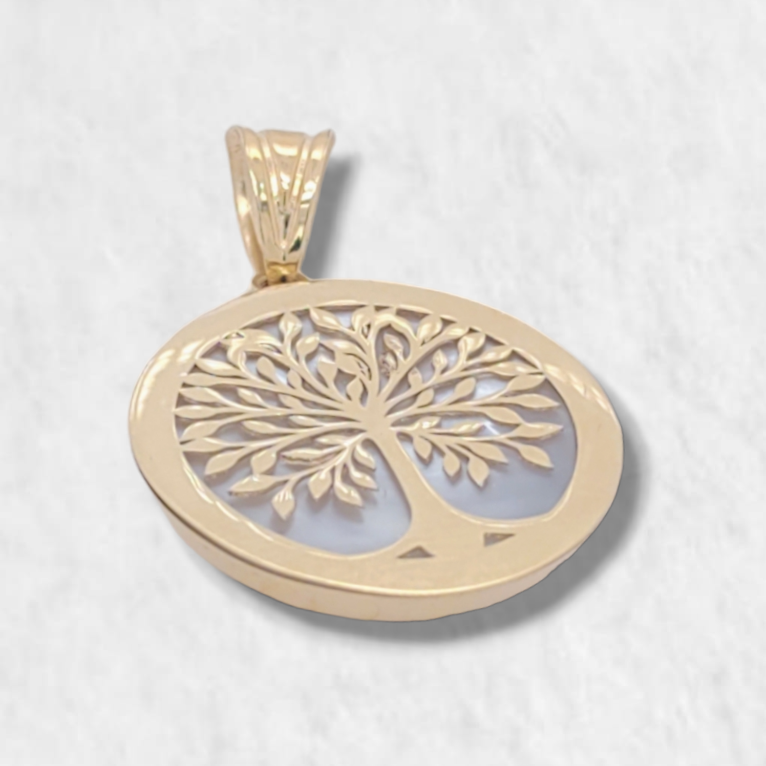 PhotoRoom-20231117_164004-e1700258037736