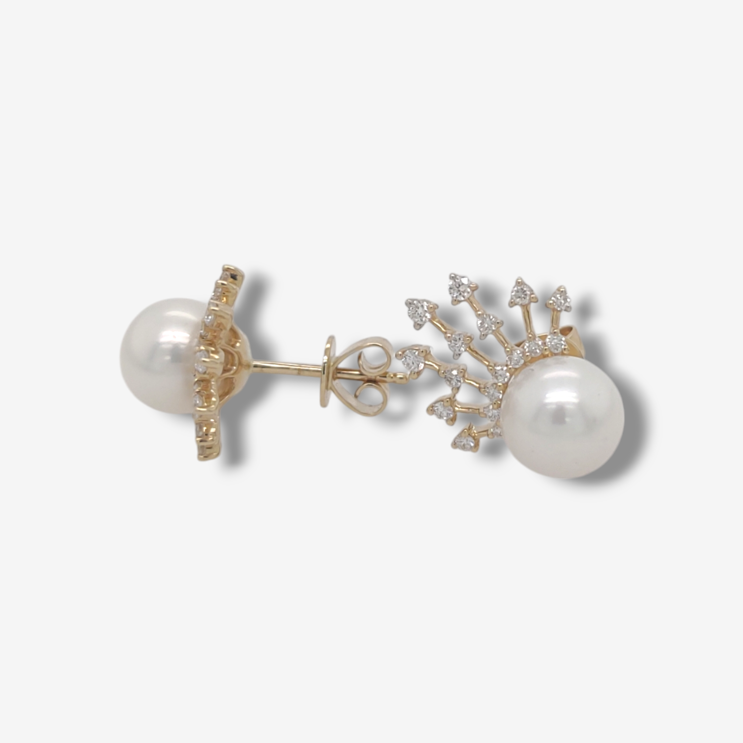 Photoroom-20241118_170457